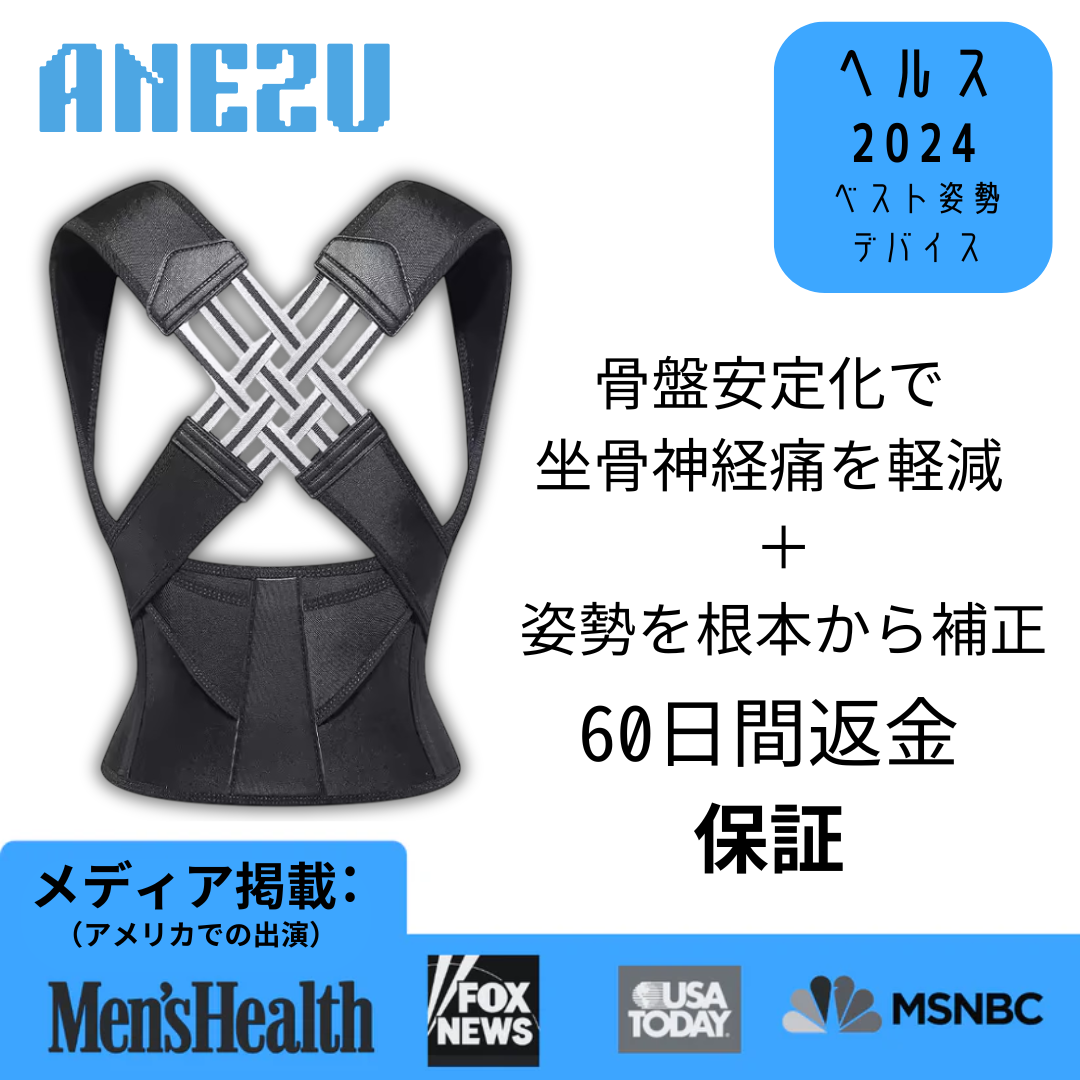 アネズ 姿勢ロック