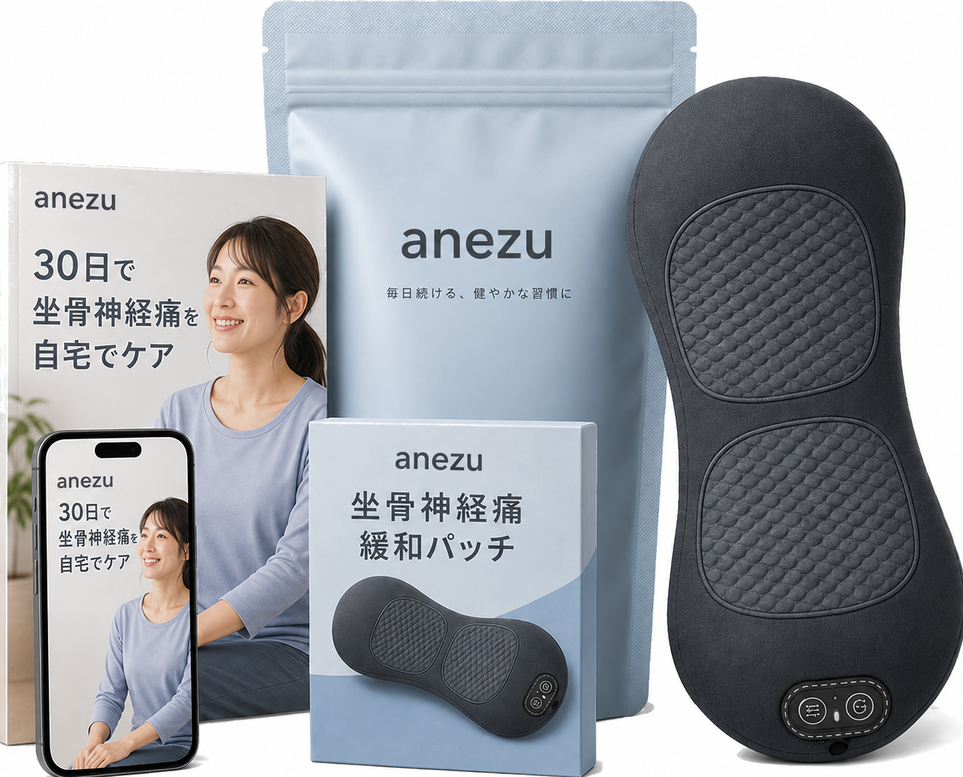 アネズ マッサージャーと無料特典一式